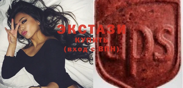 крисы Каменка