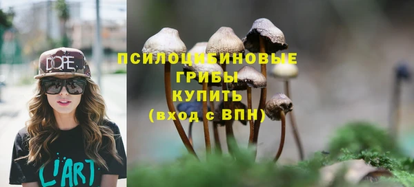 МДПВ Каменногорск