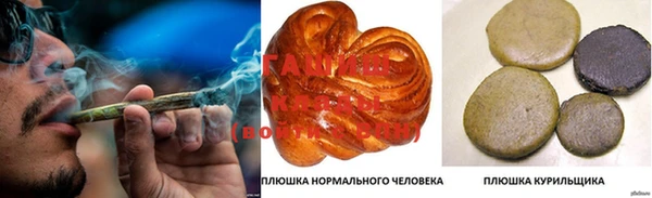 крисы Каменка