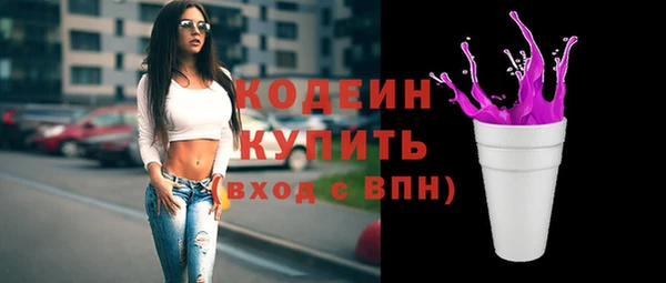 крисы Каменка