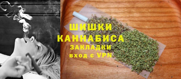 крисы Каменка