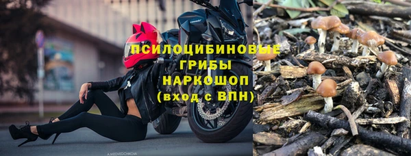 МДПВ Каменногорск