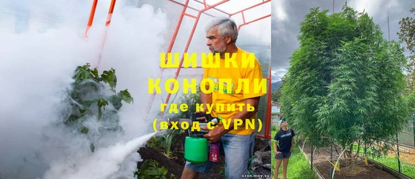 крисы Каменка