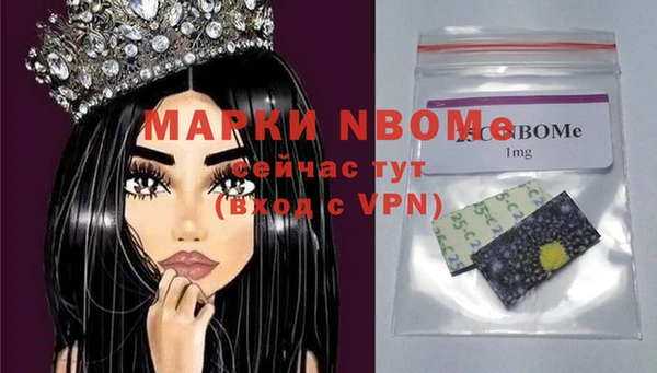 крисы Каменка