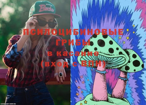 твердый Каменск-Шахтинский