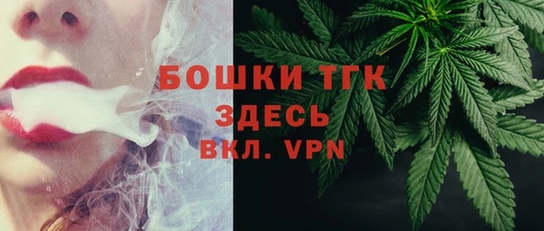 МДПВ Каменногорск