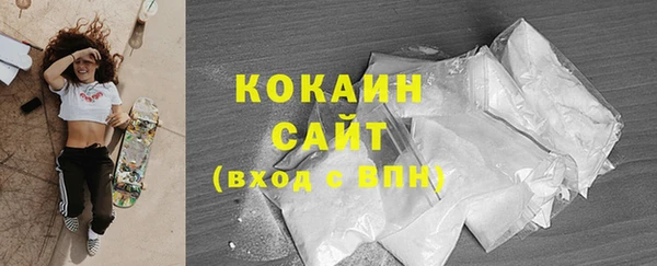 МДПВ Каменногорск