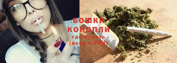 крисы Каменка