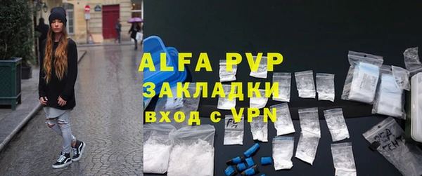 крисы Каменка