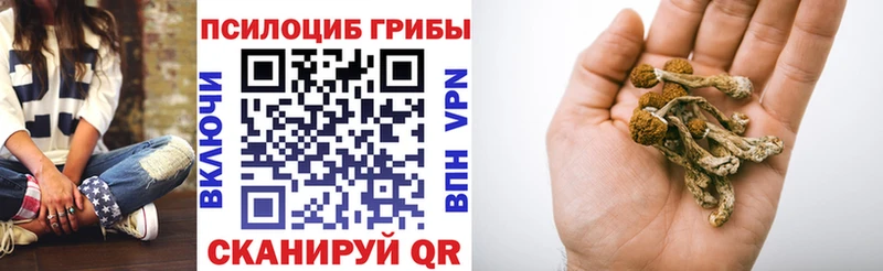Псилоцибиновые грибы Psilocybine cubensis  Купить закладки  Канск 